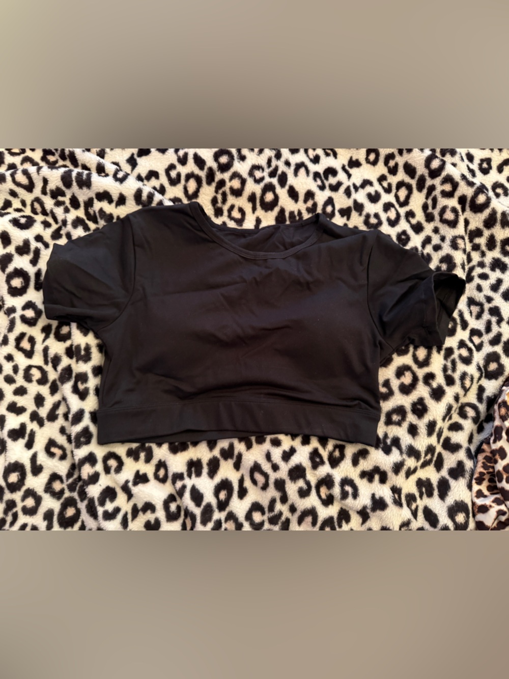 Black Crop Tee Top - Women